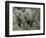 Terra Cotta Warriors and Horses Dig, Xi'an, Shaanxi Province, China-Pete Oxford-Framed Photographic Print