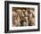 Terra Cotta Warriors at Emperor Qin Shihuangdi's Tomb, China-Keren Su-Framed Photographic Print