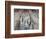 Terra Cotta Warriors, Xian, China-Keren Su-Framed Photographic Print