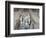 Terra Cotta Warriors, Xian, China-Keren Su-Framed Photographic Print