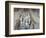 Terra Cotta Warriors, Xian, China-Keren Su-Framed Photographic Print