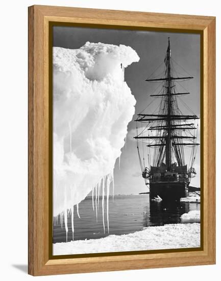 Terra Nova in Antarctica-null-Framed Premier Image Canvas