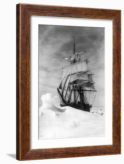 Terra Nova, Robert Falcon Scott's Exploration Ship, 1910/11-Science Source-Framed Giclee Print