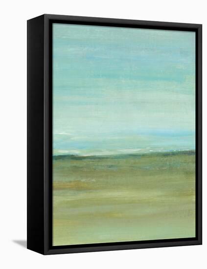 Terra Verde II-Tim OToole-Framed Stretched Canvas