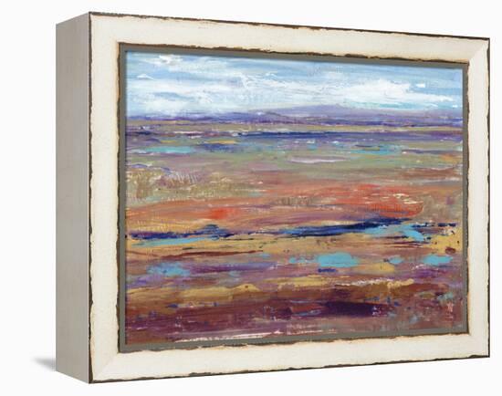 Terra Vista IV-Tim OToole-Framed Stretched Canvas