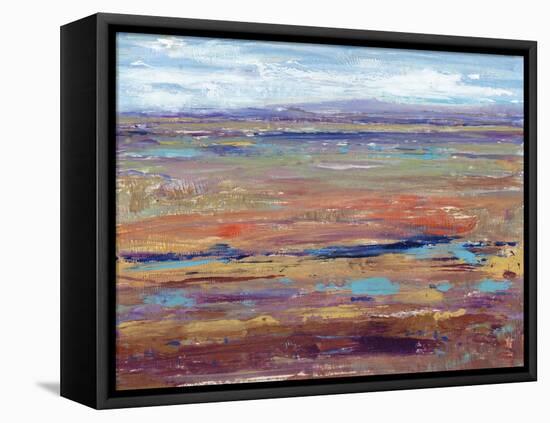 Terra Vista IV-Tim OToole-Framed Stretched Canvas