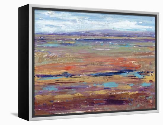 Terra Vista IV-Tim OToole-Framed Stretched Canvas