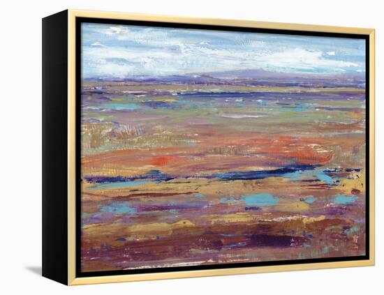 Terra Vista IV-Tim OToole-Framed Stretched Canvas