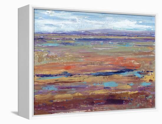 Terra Vista IV-Tim OToole-Framed Stretched Canvas