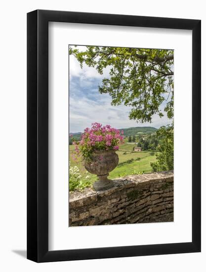 Terrace, Chateau de Pierreclos, Pierreclos, Maconnaise, Burgundy, France-Lisa S. Engelbrecht-Framed Photographic Print