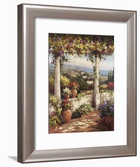 Terrace Hermosa-Andino-Framed Art Print