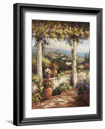 Terrace Hermosa-Andino-Framed Art Print