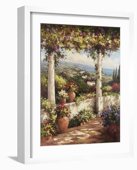 Terrace Hermosa-Andino-Framed Art Print