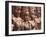 Terrace of the Leper King, Angkor, Cambodia-Ivan Vdovin-Framed Photographic Print