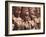 Terrace of the Leper King, Angkor, Cambodia-Ivan Vdovin-Framed Photographic Print