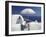 Terrace Overlooking Aegean Sea, Anafi, Cyclades Islands, Greece-Michele Molinari-Framed Photographic Print