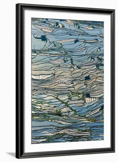 Terrace Reflections II-Peter Adams-Framed Giclee Print