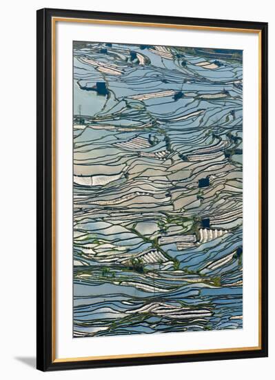 Terrace Reflections II-Peter Adams-Framed Giclee Print
