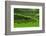 Terrace Rice Fields, Bali, Indonesia-Marko5-Framed Photographic Print