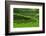 Terrace Rice Fields, Bali, Indonesia-Marko5-Framed Photographic Print