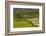 Terrace Rice Fields, Chimi Lhakhang, Bhutan-Michael Runkel-Framed Photographic Print