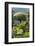 Terrace with Giant Topiary, Villa Barbonella, Lake Como, Lombardy, Italy, Europe-James Emmerson-Framed Photographic Print