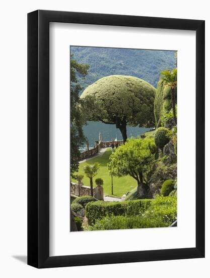 Terrace with Giant Topiary, Villa Barbonella, Lake Como, Lombardy, Italy, Europe-James Emmerson-Framed Photographic Print