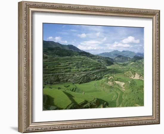 Terraced Agricultural Land Between Taijiang and Fanpai, Guizhou Province, China-Jane Sweeney-Framed Photographic Print