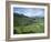 Terraced Agricultural Land Between Taijiang and Fanpai, Guizhou Province, China-Jane Sweeney-Framed Photographic Print