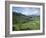Terraced Agricultural Land Between Taijiang and Fanpai, Guizhou Province, China-Jane Sweeney-Framed Photographic Print