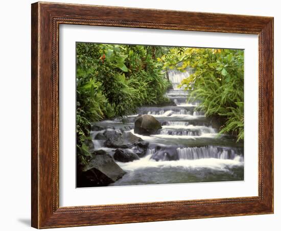 Terraced Falls-Monte Nagler-Framed Photographic Print