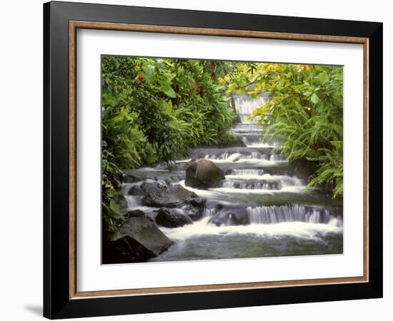 Terraced Falls-Monte Nagler-Framed Photographic Print