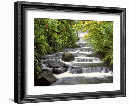 Terraced Falls-Monte Nagler-Framed Photographic Print