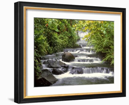 Terraced Falls-Monte Nagler-Framed Photographic Print