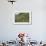 Terraced Farmland Above Ambewela, Hill Country, Sri Lanka, Asia-Tony Waltham-Framed Photographic Print displayed on a wall