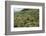 Terraced Farmland Above Ambewela, Hill Country, Sri Lanka, Asia-Tony Waltham-Framed Photographic Print