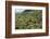 Terraced Farmland Above Ambewela, Hill Country, Sri Lanka, Asia-Tony Waltham-Framed Photographic Print