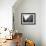 Terraced Miners Housing, Denaby Main, South Yorkshire, Mid 1960S-Michael Walters-Framed Photographic Print displayed on a wall