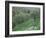 Terraced Olive Grove, Samos, Greece-Rolf Nussbaumer-Framed Photographic Print