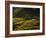 Terraced Rice Fields, Near Pokhara, Gandak, Nepal, Asia-Mark Chivers-Framed Photographic Print