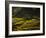 Terraced Rice Fields, Near Pokhara, Gandak, Nepal, Asia-Mark Chivers-Framed Photographic Print