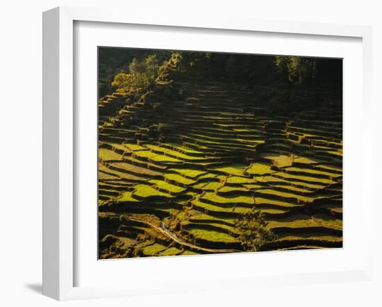 Terraced Rice Fields, Near Pokhara, Gandak, Nepal, Asia-Mark Chivers-Framed Photographic Print