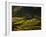 Terraced Rice Fields, Near Pokhara, Gandak, Nepal, Asia-Mark Chivers-Framed Photographic Print