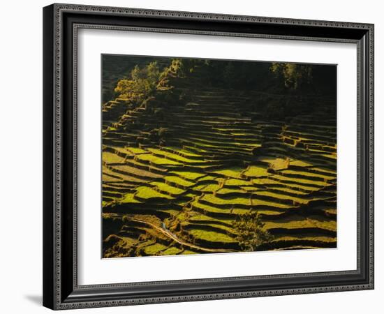 Terraced Rice Fields, Near Pokhara, Gandak, Nepal, Asia-Mark Chivers-Framed Photographic Print