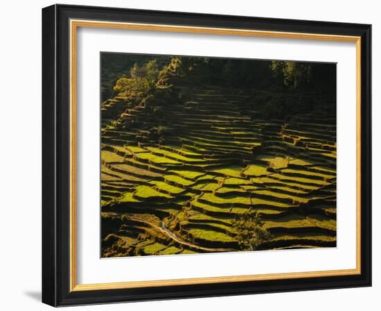 Terraced Rice Fields, Near Pokhara, Gandak, Nepal, Asia-Mark Chivers-Framed Photographic Print