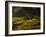 Terraced Rice Fields, Near Pokhara, Gandak, Nepal, Asia-Mark Chivers-Framed Photographic Print