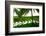 Terraced Rice Paddy in Ubud, Bali, Indonesia, Southeast Asia, Asia-Laura Grier-Framed Photographic Print