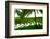 Terraced Rice Paddy in Ubud, Bali, Indonesia, Southeast Asia, Asia-Laura Grier-Framed Photographic Print
