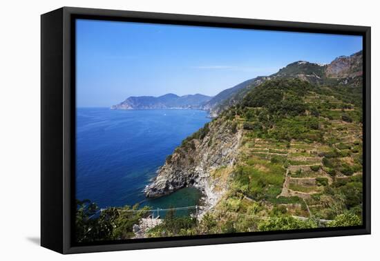 Terraced Vineyards at Corniglia-Mark Sunderland-Framed Premier Image Canvas