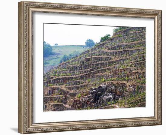 Terraced Vineyards in the Cote Rotie District, Rhone, France-Per Karlsson-Framed Photographic Print